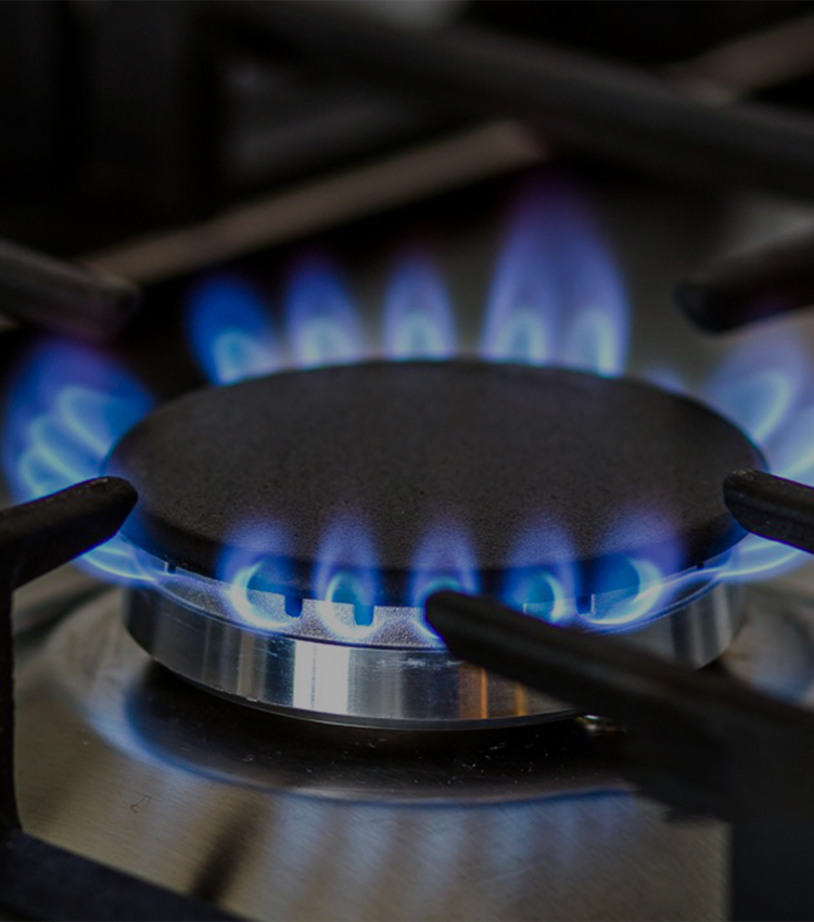 Experience effortless cooking with our Sabaf burner